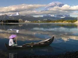 how do you spot a real photo from fake